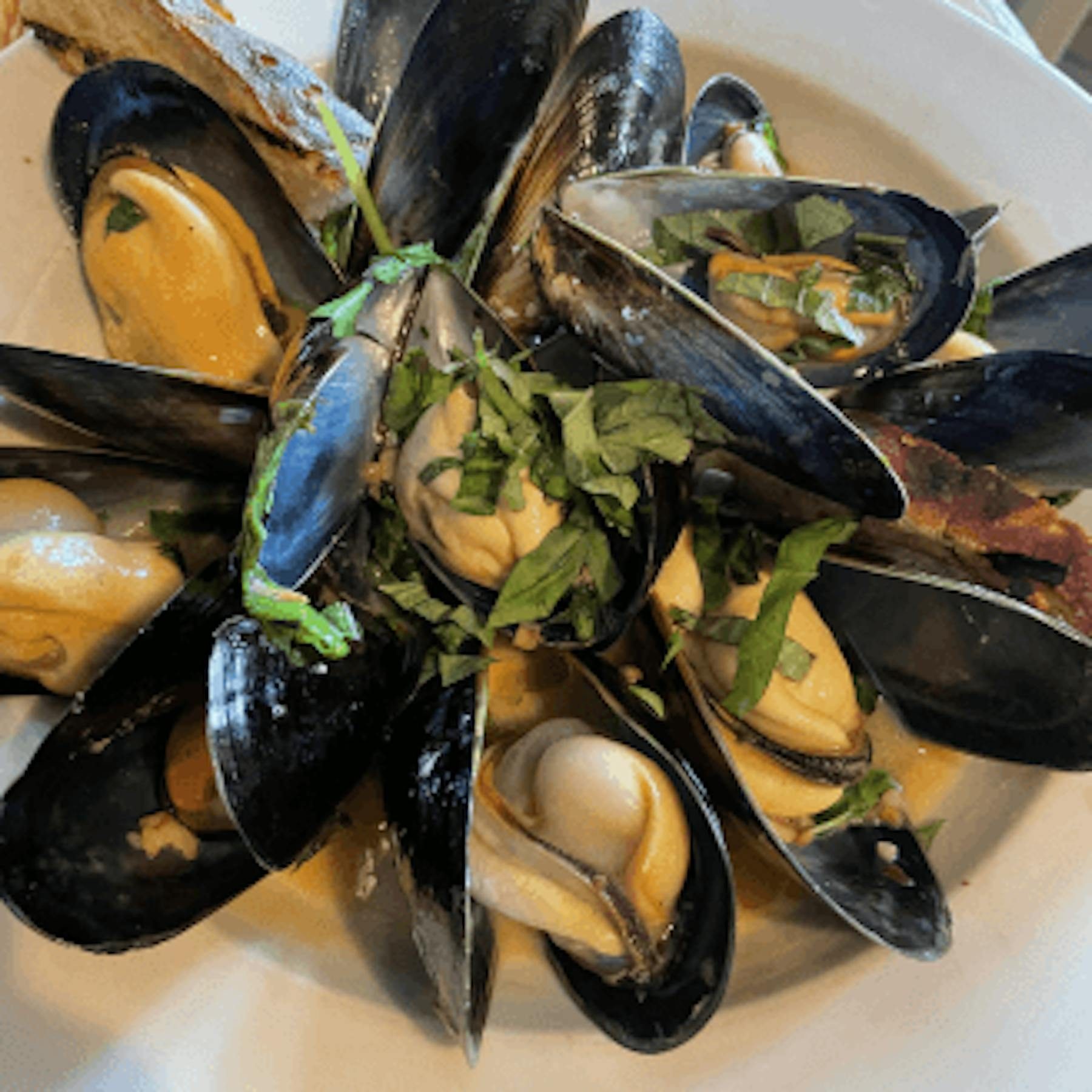 Mediterranean Mussels Sautéed the World's Best.